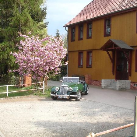 Harzer Ferienpension Timmenrode Exteriör bild